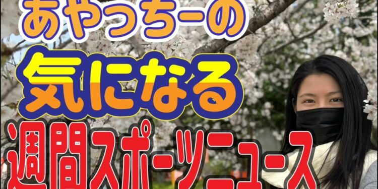 【スポーツニュース】新シリーズです‼️週間スポーツニュース‼️