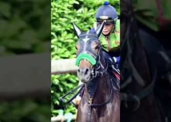 エリカ激走オークス #shorts #スポーツニュース #mlb #メジャーリーグ #mlbファン #野球ニュース