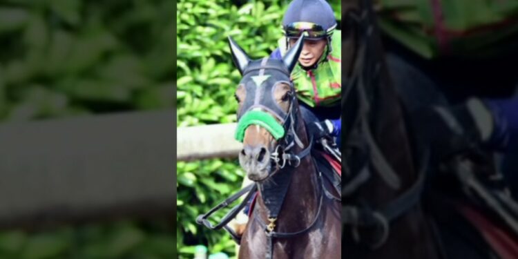 エリカ激走オークス #shorts #スポーツニュース #mlb #メジャーリーグ #mlbファン #野球ニュース