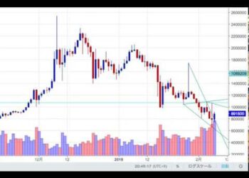 【仮想通貨】ビットコイン（BTC）の最新相場予想（２０１８年２月７日《水》）暗号通貨初心者必勝講座【常勝トレーダー製造機 翔太】