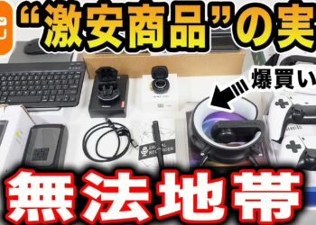 【Temuの実態】激安通販の”衝撃の実態”が判明！これアカンやろ・・・