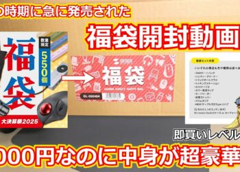 【福袋開封！？】5000円にしては内容物が豪華すぎる！！なぜかこの時期に急に発売されたサンワサプライさんの福袋開封動画！【ガジェット】
