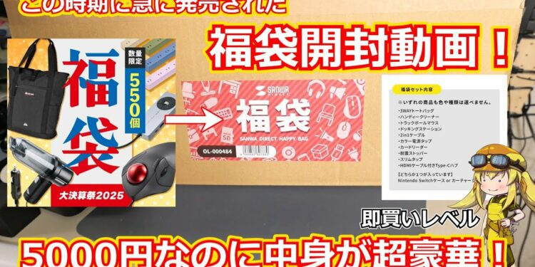 【福袋開封！？】5000円にしては内容物が豪華すぎる！！なぜかこの時期に急に発売されたサンワサプライさんの福袋開封動画！【ガジェット】