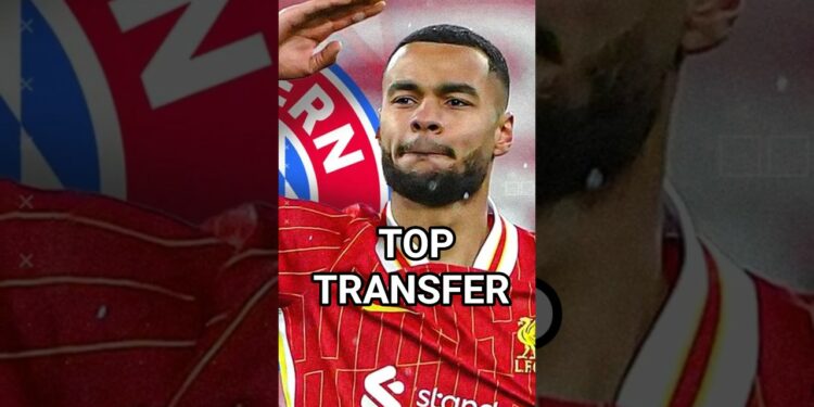 IRRER MILLIONENPLAN Beim BAYERN #transfer #fcbayern #fix2025 #bundesliga #fußball #fuzzball #chorts