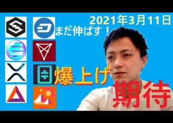 仮想通貨IOST,エンジンコイン,リップル,BAT,DASH,CHZ,Theta,MANA2021年3月11日チャート分析