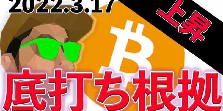 BTCが底打ちしたかもしれないよ！という話【ビットコイン、イーサリアム、リップル】