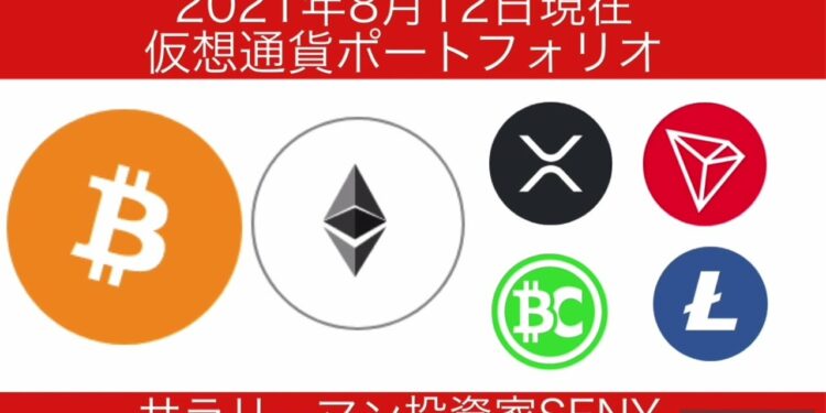 【仮想通貨】ポートフォリオ紹介❗️BTC・ETH・XRP・TRX