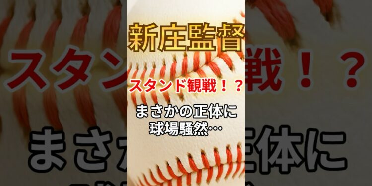 【新庄監督】が“スタンド観戦”!？まさかの正体に球場騒然！ #野球ニュース #野球 #新庄剛志