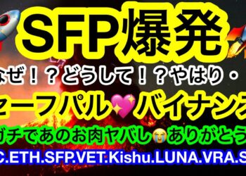 😭嬉しき事が3つも‼️全ての視聴者様に感謝❗️目標を定めて強く真っ直ぐ進んでいくビットマンTV🦸‍♂️【仮想通貨 BTC.ETH.SFP.VET.Kishu.LUNA.VRA.SDN】