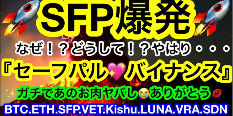 😭嬉しき事が3つも‼️全ての視聴者様に感謝❗️目標を定めて強く真っ直ぐ進んでいくビットマンTV🦸♂️【仮想通貨 BTC.ETH.SFP.VET.Kishu.LUNA.VRA.SDN】