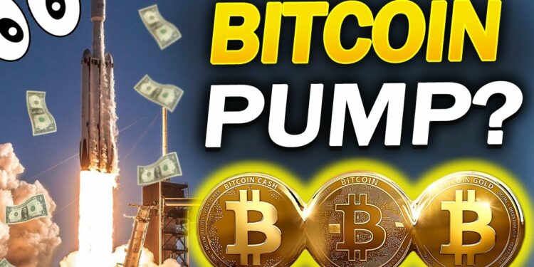 BITCOIN PUMP? INVESTING IN CRYPTOCURRENCY
