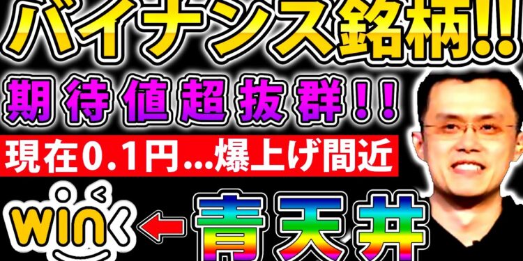 【バイナンス銘柄】現在0.1円…マーケティングの天才、CEOジャスティン氏も340億円以上を投資している爆上がり目前、激熱コイン【WINkLink】【仮想通貨】
