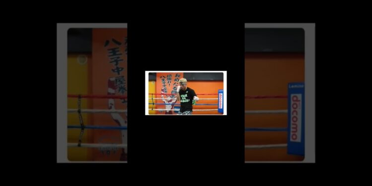 🥊スポーツ・ニュース#スポーツ #けんちゃんチャンネル #チャンネル登録お願いします #ニュース