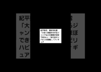 👩スポーツ・ニュース#スポーツ #ニュース #けんちゃんチャンネル #チャンネル登録お願いします