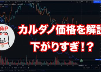 カルダノADA ｜価格は今下がりすぎなのか