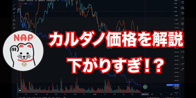 カルダノADA ｜価格は今下がりすぎなのか