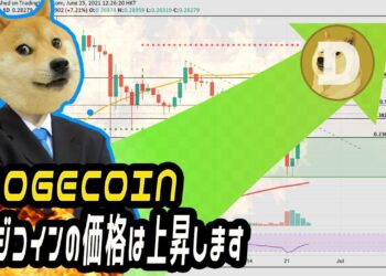 お見逃しなく! ドージコインの価格は ! 26日6月2021! 16:00