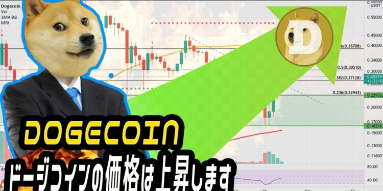 お見逃しなく! ドージコインの価格は ! 26日6月2021! 16:00