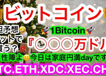 💋メリークリスマス🎄マイクロストラテジーCEOのBitcoin価格予想がぶっ飛び〜🚀🚀【仮想通貨 BTC.ETH.XDC.XEC.CHR】