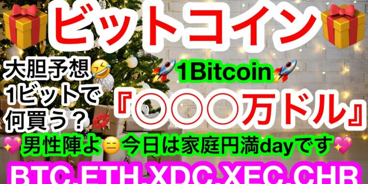💋メリークリスマス🎄マイクロストラテジーCEOのBitcoin価格予想がぶっ飛び〜🚀🚀【仮想通貨 BTC.ETH.XDC.XEC.CHR】