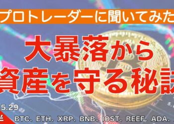 【BTC、ETH、XRP、BNB、IOST、REEF、ADA、ATOM】プロトレーダーに聞いてみた　大暴落から資産を守る秘訣（2021年5月29日 相場分析）後半