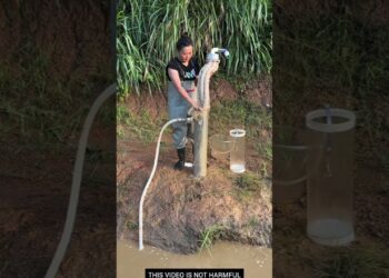 Useful Cleaner Gadgets😰 -New viral gadget,Smart appliances,Kitchen utensils/Home inventions #gamtng