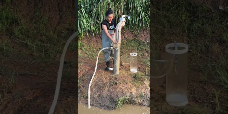 Useful Cleaner Gadgets😰 -New viral gadget,Smart appliances,Kitchen utensils/Home inventions #gamtng