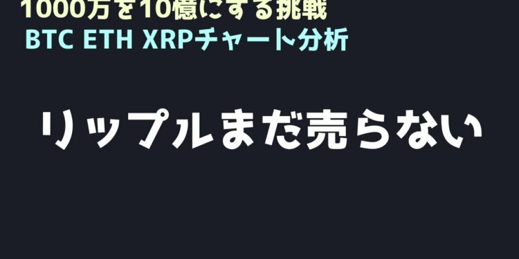 利確を我慢してホールドする｜ビットコイン、イーサリアム、リップルの値動きを解説