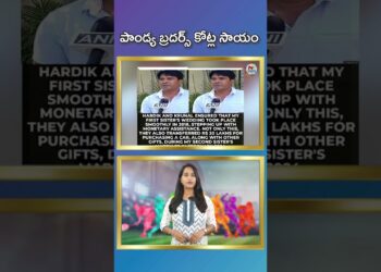 パンディヤ兄弟の1億ルピー寄付 | NTVスポーツ