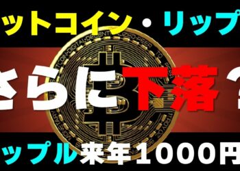 【ビットコイン＆リップル】さらに下落？上げても戻される展開。リップルが来年1000円の可能性