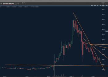 【仮想通貨】ネム（XEM）の最新相場予想（２０１８年２月１１日《日》）暗号通貨初心者必勝講座【常勝トレーダー製造機 翔太】