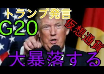 G20はトランプ発言で仮想通貨は大暴落する