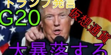 G20はトランプ発言で仮想通貨は大暴落する