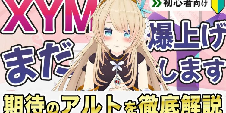 【Symbol/XYM】上場RUSH突入！期待度120%のとあるコインを徹底解説します