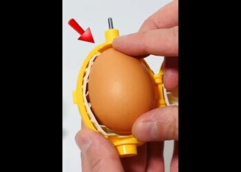 Wait For It – Egg Kitchen Gadget