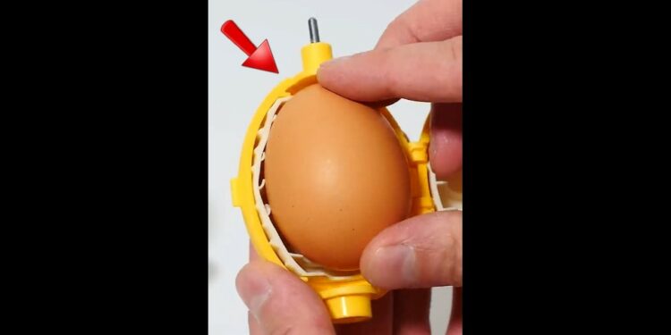 Wait For It – Egg Kitchen Gadget