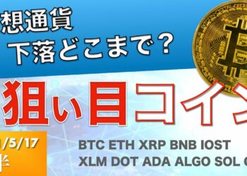 【XLM、DOT、ADA、ALGO、SOL、CHZ】仮想通貨下落はどこまで？今狙っているコインはこれ！（2021年5月17日 相場分析）後半
