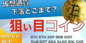 【XLM、DOT、ADA、ALGO、SOL、CHZ】仮想通貨下落はどこまで？今狙っているコインはこれ！（2021年5月17日 相場分析）後半