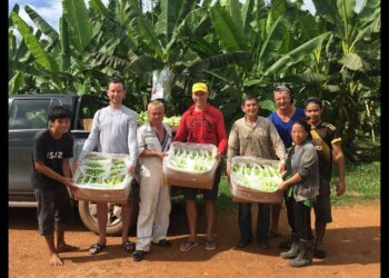 スキャムICO抜き打ちライブチェック！Ep.2 （11/26)