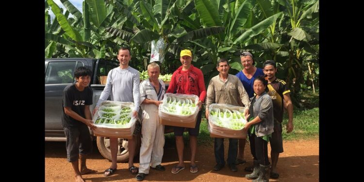 スキャムICO抜き打ちライブチェック！Ep.2 （11/26)