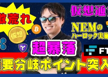 【投資】NEMのハードフォーク【ハーロック】実施！？大暴落を続ける仮想通貨市場の中で結果は？今絶対に注目すべき暴落見極めポイントをわかりやすく解説！