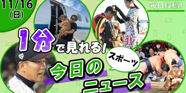 【侍ジャパン韓国戦勝利 他】スポーツニュースまとめ【11月16日】