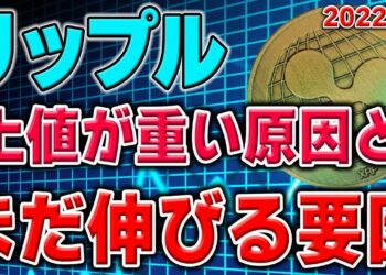 【リップル/XRP】中期的に大幅上昇のサイン?!リップル裁判もリップル社優勢?!現在伸び悩んでいる原因も併せて解説
