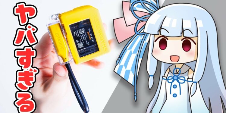 【ヤバすぎてサブch行き】「とんでもない肩書き」のガジェットを購入＆レビュー。(いろんな意味で)大丈夫か…？