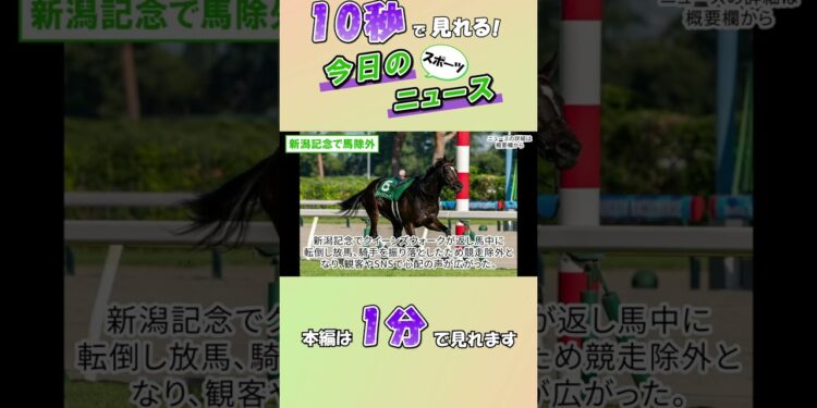【スポーツニュース】新潟記念で馬除外【8月31日】