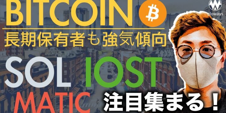 ビットコインも強いがSOL、MATIC、ISOT、XRPに注目が集まる！直近動向と戦略について